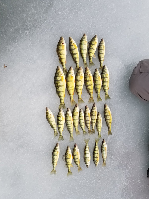 best perch ice fishing lures 2018 Legend Bait Team Rhino Outdoors LLC Top 5 Perch Ice Fishing