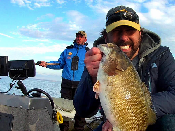 How you can catch BIG Smallmouth in the fall on Lake Simcoe