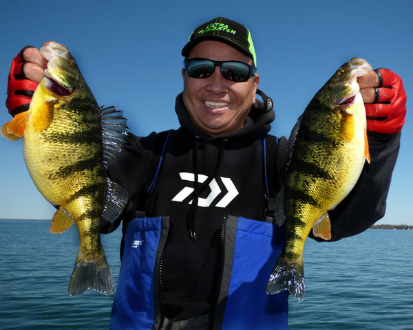 Lake Simcoe Spring Gold - Perch Fishing with David Chong